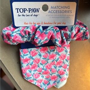 Top Paw Pink and Blue Hair Accessories Set